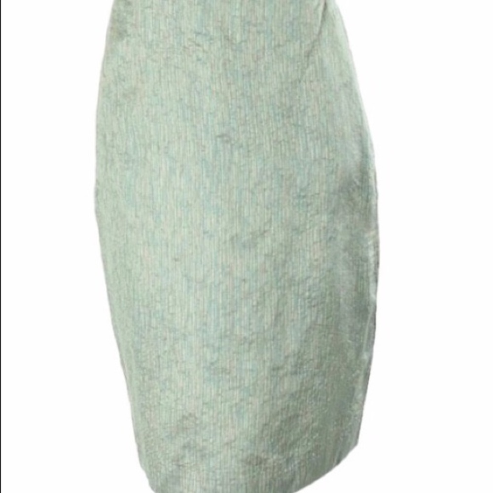 Dana Buchanan NWT skirt
